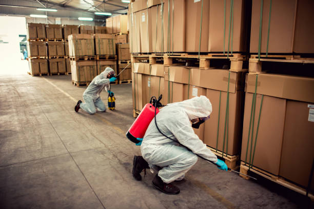 Best Termite Control Services  in Munfordville, KY