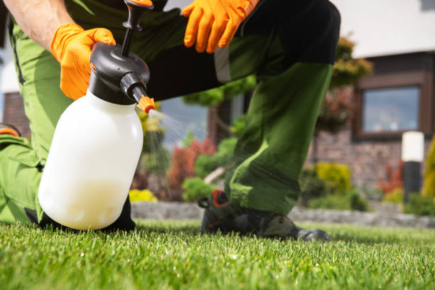 Best Cockroach Control Services  in Munfordville, KY