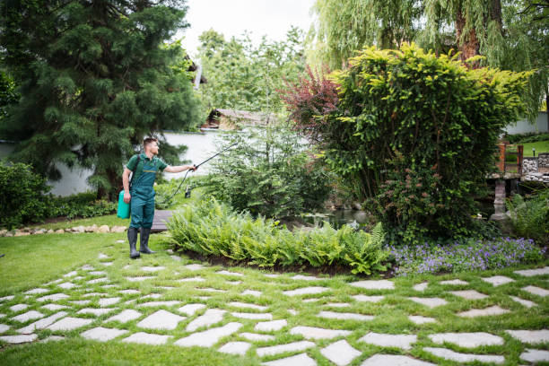 Best Pest Inspection Near Me  in Munfordville, KY