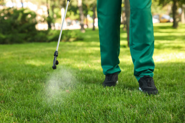 Best Best Pest Control Companies  in Munfordville, KY