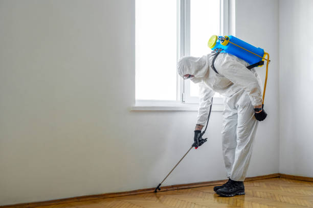 Best Wasp Removal Services  in Munfordville, KY