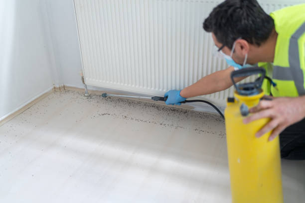 Wasp Removal Services in Munfordville, KY